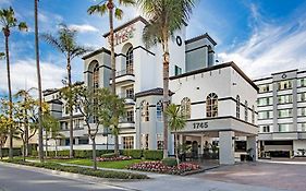 Peacock Suites